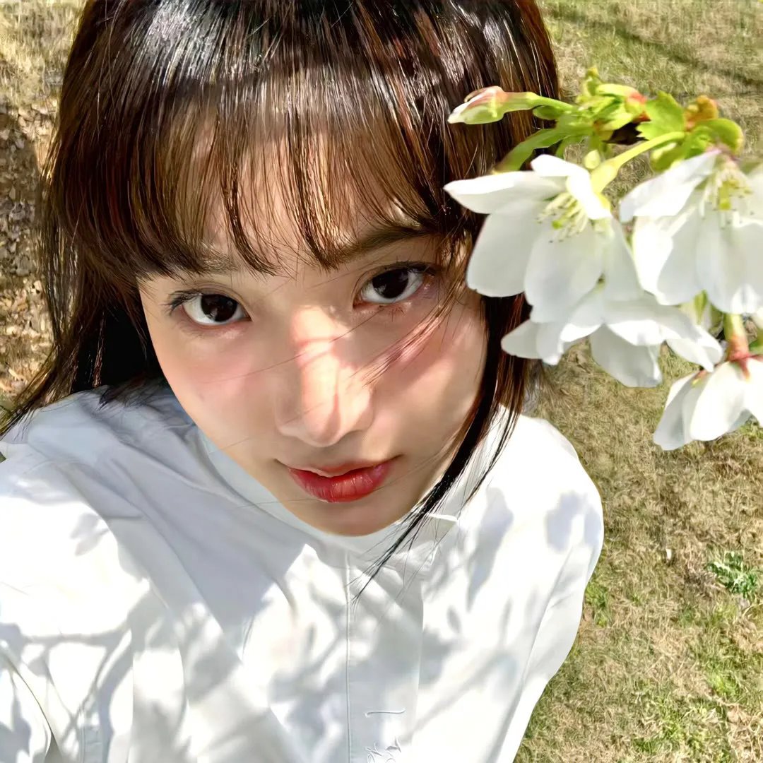 皇牌特务龙虎斗